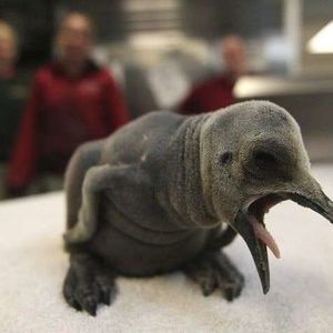 Meet your Posher, Hailey